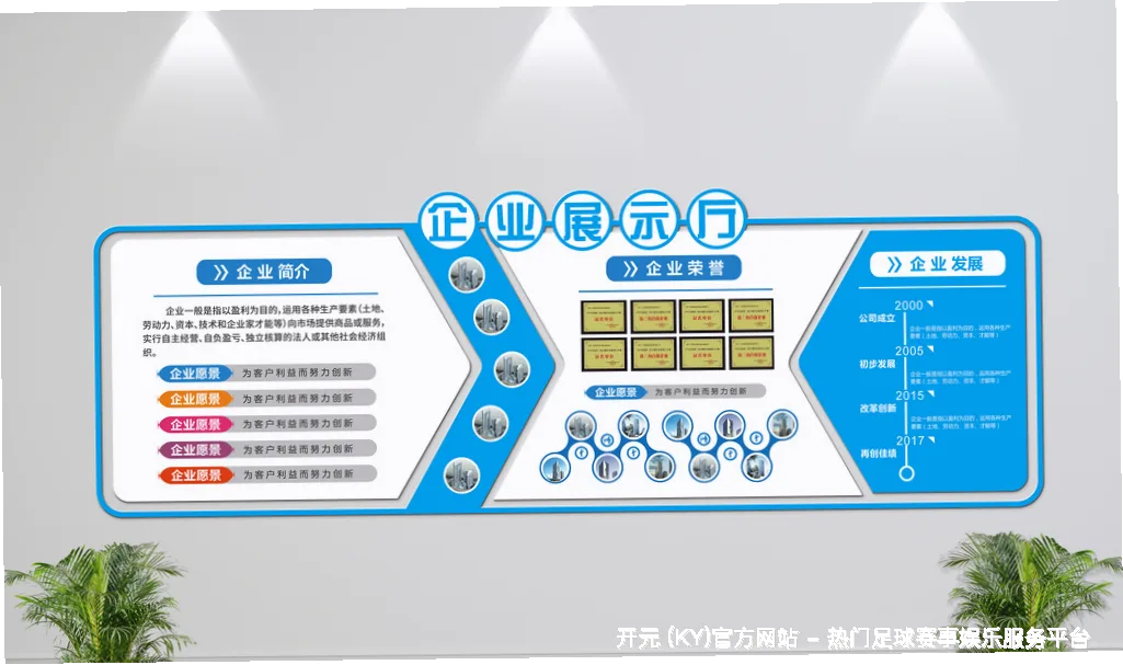 发展历程